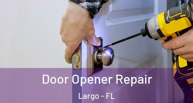  Door Opener Repair Largo - FL