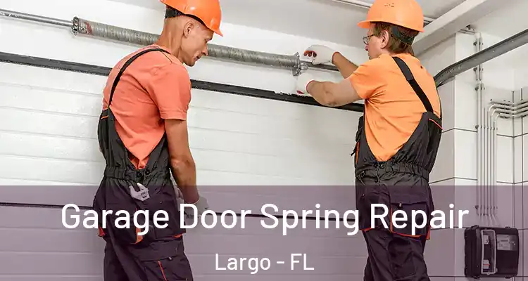  Garage Door Spring Repair Largo - FL