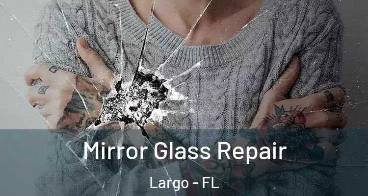  Mirror Glass Repair Largo - FL
