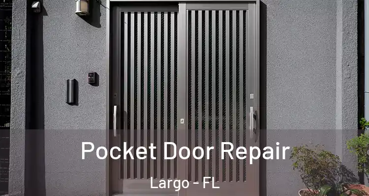  Pocket Door Repair Largo - FL