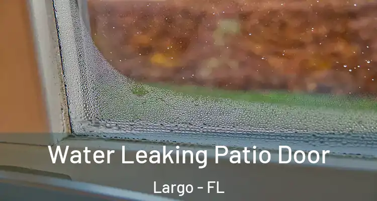  Water Leaking Patio Door Largo - FL